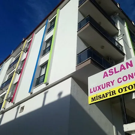 Aslan Luxury Concept